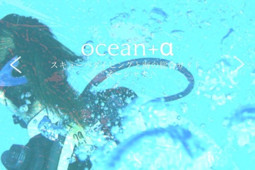 oceana+αに掲載して頂きました。